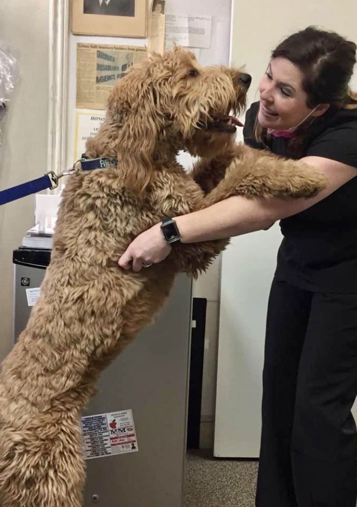 Grimes Dentistry staff and doggo